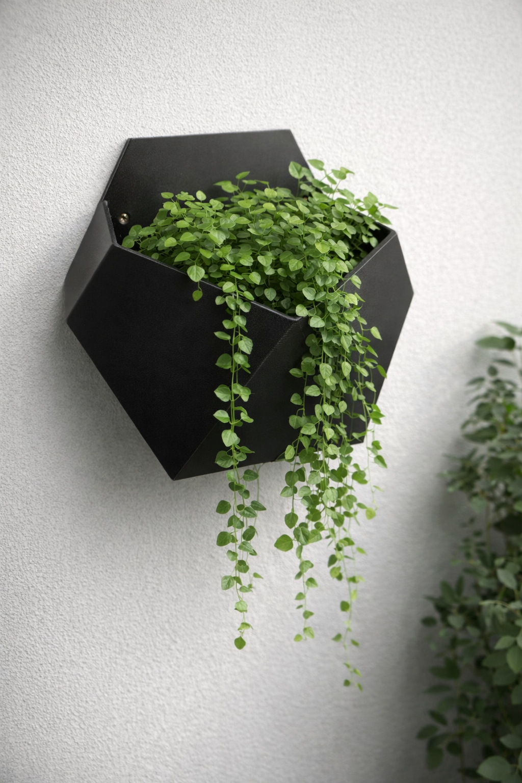 GeoWall Pot